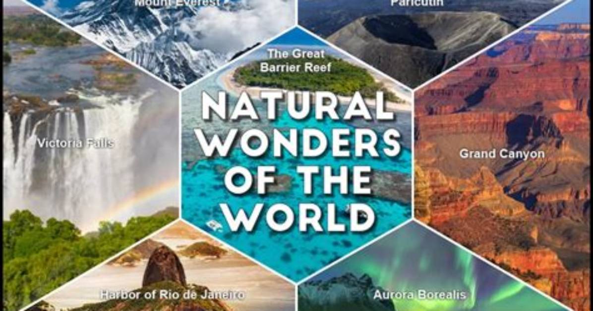 Exploring the Wonders of Crustal Reed: Nature's Resilient Marvel
