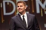 Exploring the World of David Boreanaz's Siblings