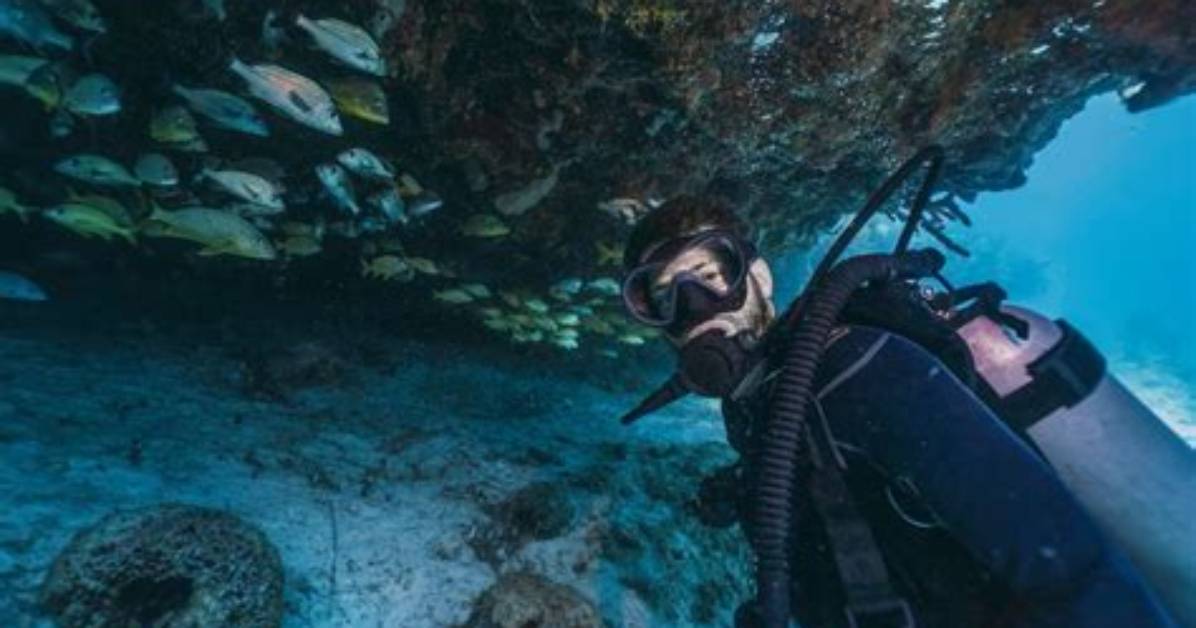Exploring the World of Jackson: a Dive into Jackson. Skipthegames
