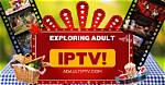 Exploring the World of Mkvmoviespoint Adult: a Comprehensive Guide