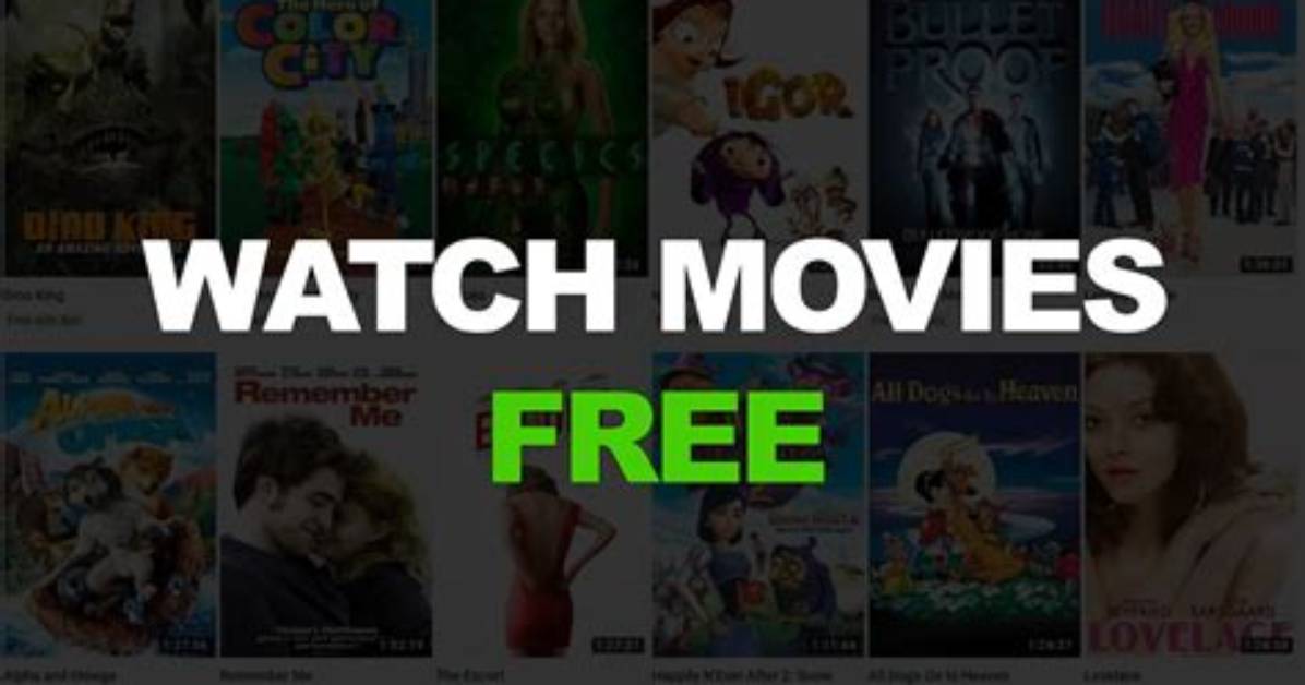 Free Mkv Movies: Watch Your Favorites Now!