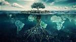 From Early Roots to Global Impact