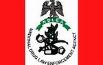 Full Meaning and Functions of Ndlea