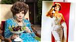 Gina Lollobrigida's Final Chapter: Uncovering the Enigma