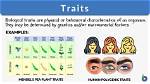 Height as a Defining Trait