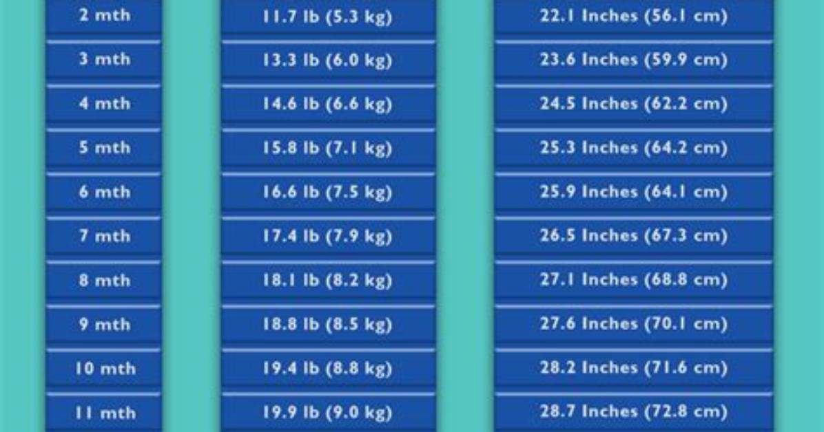 Height, Weight, Age, Spouse, And