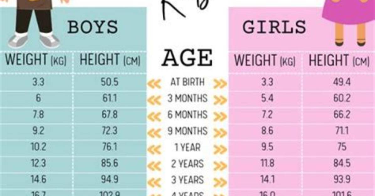 Height, Weight, Age, Spouse, Family, and Fun Facts