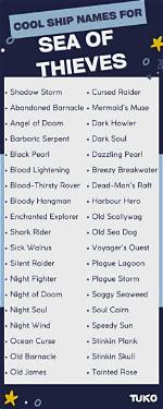 Hilarious Pirate Ship Names for Sea of Thieves