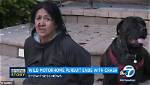 How Julie Ann Rainbird's Words Inspire Native American Identity