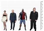 How Tall Is Rory Mccann