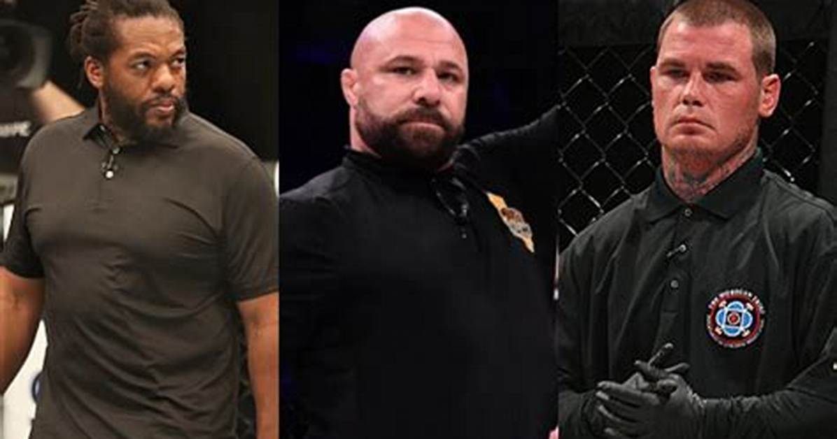 How to Become a Ufc Referee
