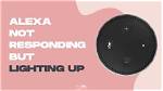 How to Fix Alexa Lights up but Won't Respond