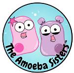 How Twitch Fans Engage with Amoeba Sisters: a Community Reaction
