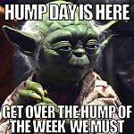 Hump Day Pictures: the Ultimate Mid-Week Motivation