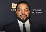 Ice Cube Net Worth | Skyblog
