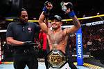 Insights and Discoveries in Ufc's Flyweight Division