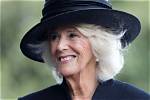 Is Camilla Parker Bowles Hospitalized Illness Health Update