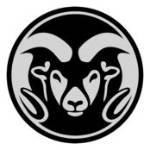 Is Csu Rams Hc Black or White?