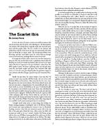 Is Scarlet Ibis a True Story