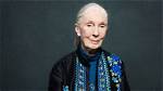 Jane Goodall Wikipedia, Biography, Age, Height, Husband, Net Worth, Children ·