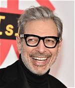 Jeff Goldblum to Play One of Lea Micheles Gay Dads on Glee