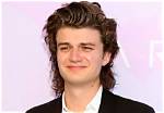 Joe Keery's Vocal Support for Palestine Earns Praise