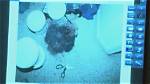 Joel Guy Jr Crime Scene Photos: Uncovering the Gruesome Details