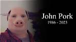 John Pork Death Cause