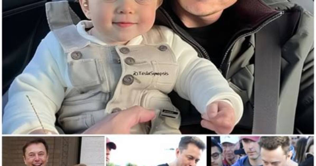 Kai Musk: a Glimpse into His Net Worth and Life