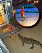 Kid Pushed in Water with Alligator
