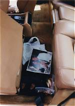 Laci Peterson's Body: Unraveling the Mystery Behind a Tragic Case