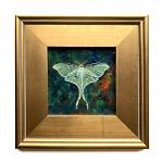 Like a Moth to a Frame Painting Location