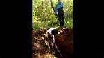Maloqueiro Cavando Cova Portal Zacarias: Analysis and Interpretation