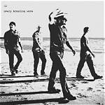 Meaning of Every Breaking Wave by U2