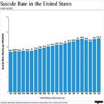 Medford Suicide Rate: What the Statistics Reveal