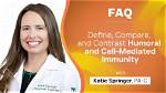 Meet Katie Springer: an Expert in [Field of Expertise]