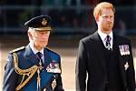 Meet the Royal Charmers: Prince Harry and Meghan Markle's Adorable Kids