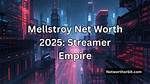 Mellstroy’s Financial Empire: the Total Net Worth Unveiled
