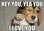 Memes of Love: the "Will You Be My Valentine?" Meme Phenomenon