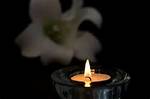 Mike Antell Death and Obituary | Died in a Car Accident