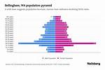 Muslim Population in Bellingham: Demographics and Distribution