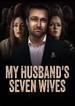 My Husbands Seven Wives: Filming Locations and Cast Explored