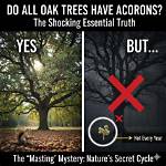 Not All Trees Are Your Friends