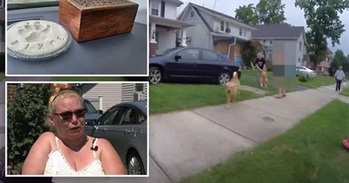 Ohio Cop Elliott Palmer Shot Golden Retriever Dead in Front of Family: Video