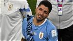 Paolo Suarez |