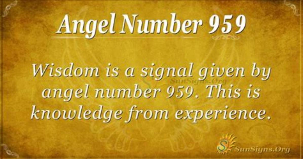 Picodash | Angel Number 959