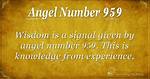 Picodash | Angel Number 959