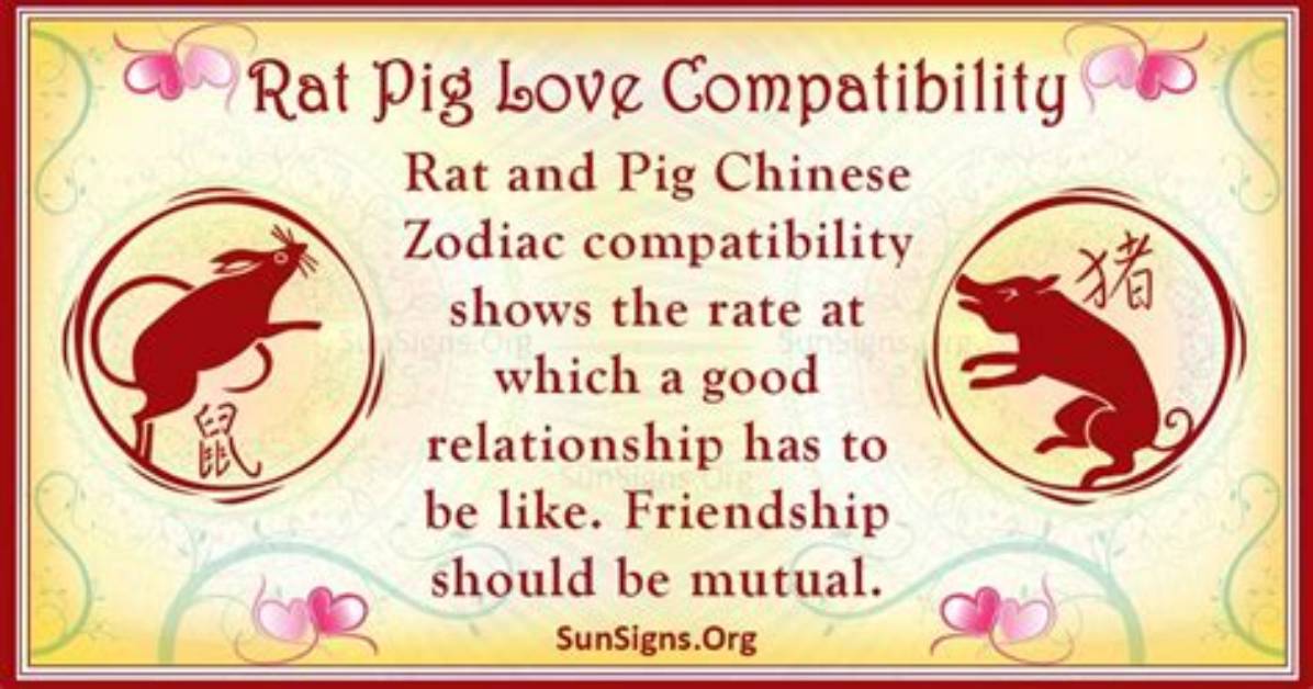 Rat and Pig Compatibility: a Charming Pair |