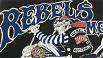 Riding with the Rebels Mc: a Journey into Brotherhood and Freedom