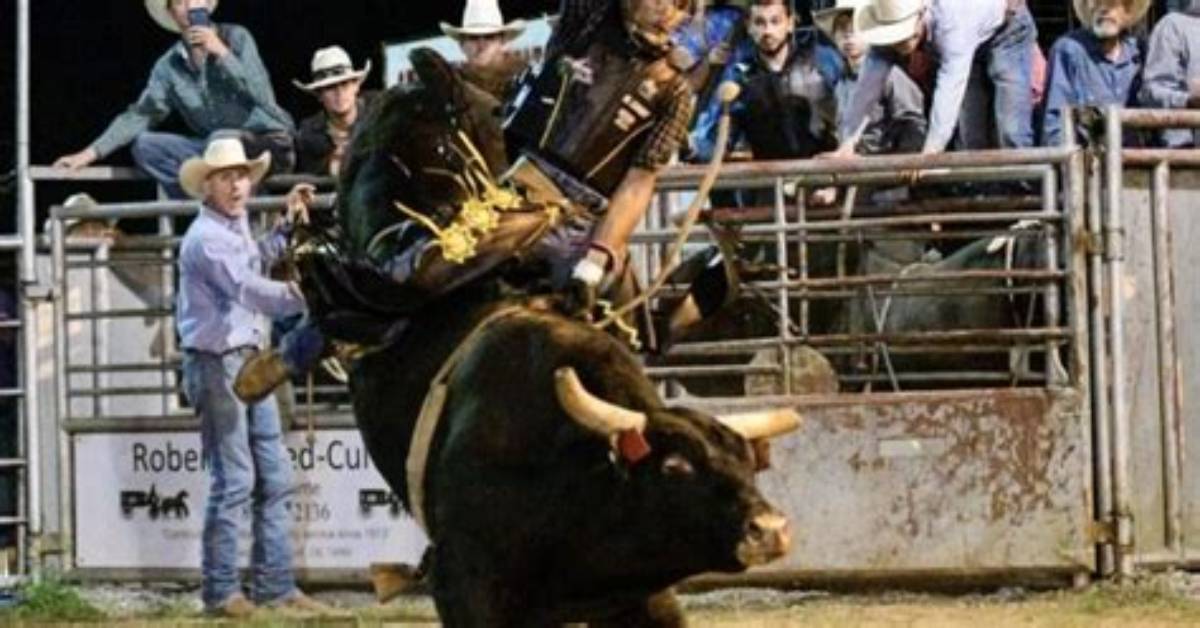 Rising Star of Bull Riding